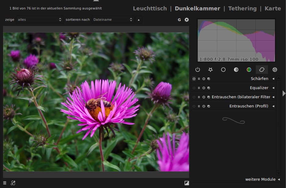 Ausgangsbild in Darktable