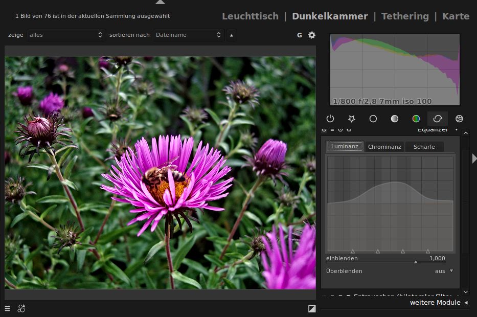 mit Darktable Equalizer Modul bearbeitetes Bild
