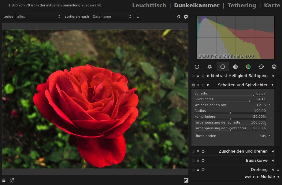 In Darktable mit dem Schatten und Spitzlichter Modul bearbeitetes Bild