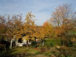 Garten im goldenen Herbst