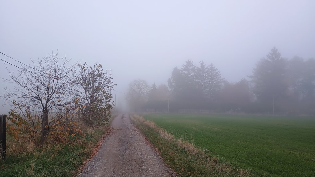 Herbstnebel