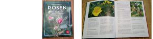 Read more about the article Rezension zu: Rosen sammeln. Alte Sorten finden und selbst vermehren.