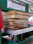 Pressung der Maische | Mobile Mosterei