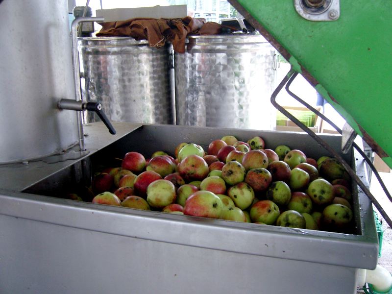 Mobile Mosterei | Äpfel waschen