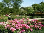 Der Rosengarten im egapark zieht die Besucher magisch an.