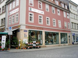 Das Ginkgo Museum am Markt in Weimar