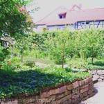 Der Garten im Kirms-Krackow-Haus