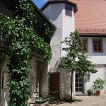 Innenhof mit begrüntem Laubengang des Kirms-Krackow-Hauses