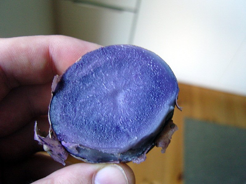 You are currently viewing So sieht die Kartoffelsorte „Violetta“ gekocht aus
